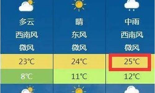 阜阳天气预报查询50天_阜阳天气预报15天查询结果