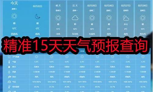 南岸天气预报15天精准_南岸天气预报15天精准查询