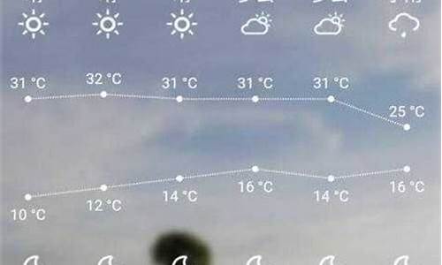 叶城县天气预报_叶城天气预报15天天气